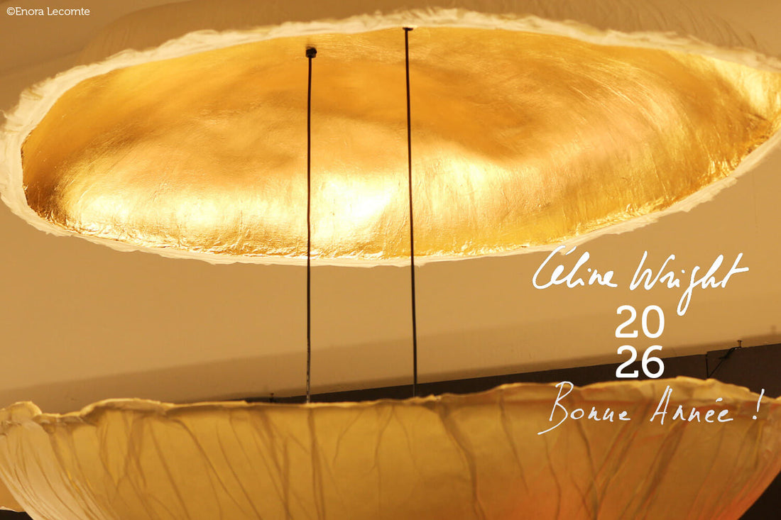 Meilleurs voeux 2026 !