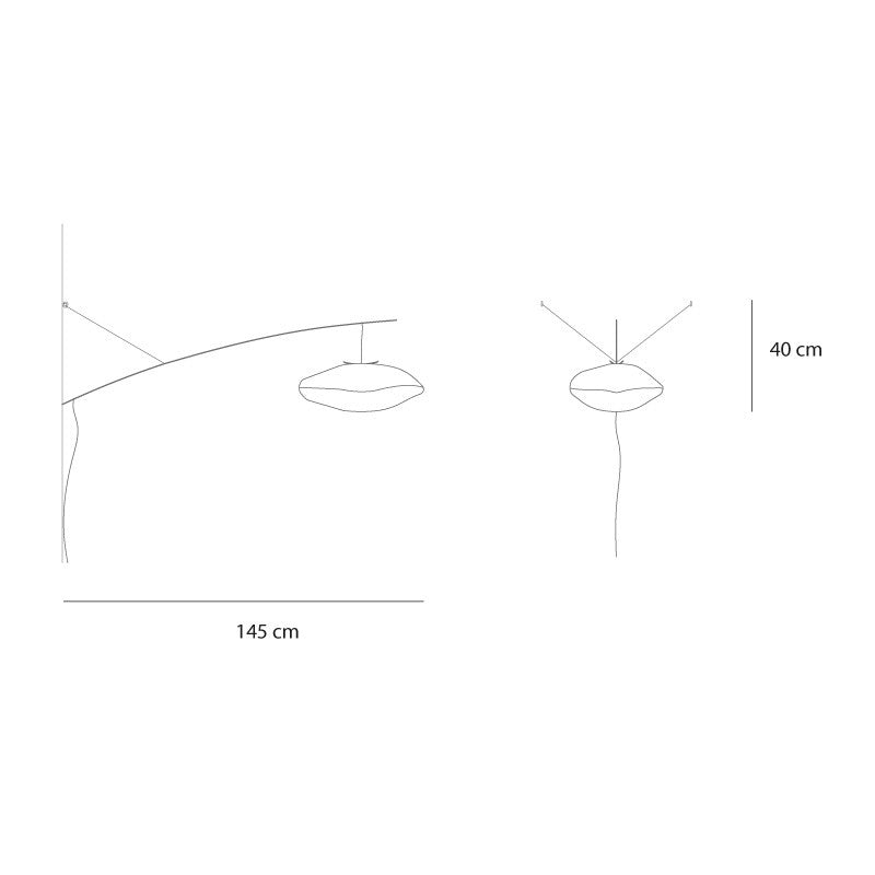 Croquis Giboulée perchée à une branche