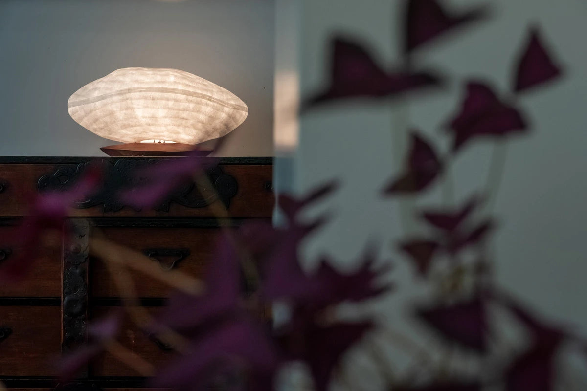 Mampe à poser Galet Céline Wright 
Photo © Marie Hubert Psaila