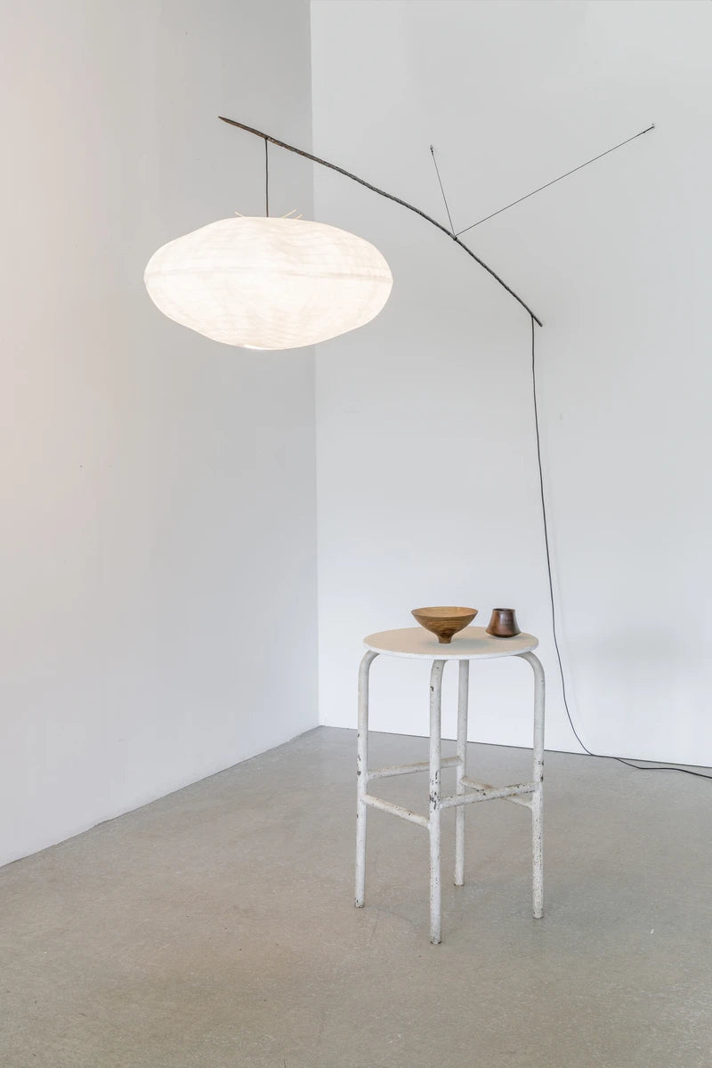 Cumulus perchée à une branche  Céline Wright
Photo © Florian Kleinefenn