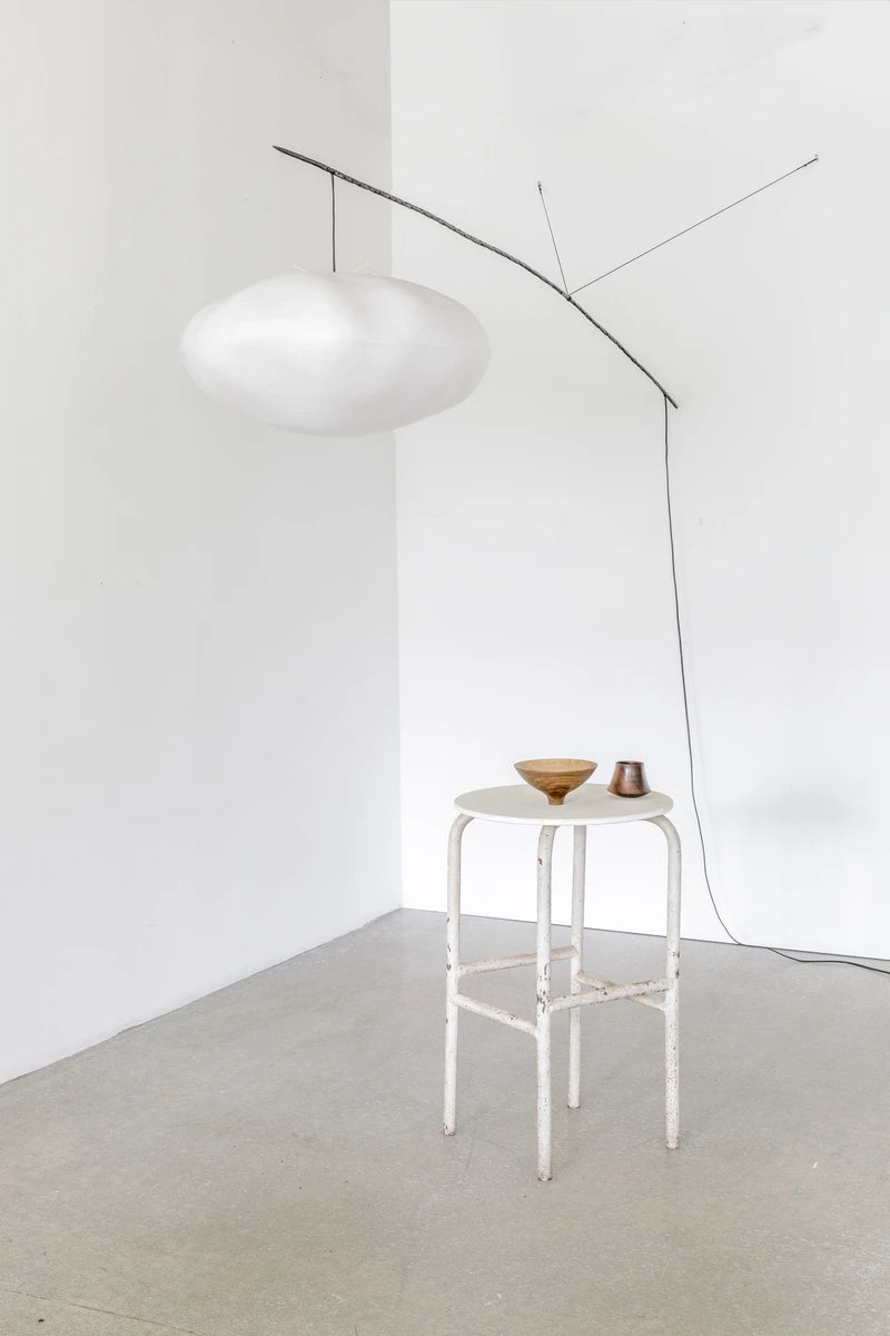 Cumulus perchée à une branche  Céline Wright
Photo © Florian Kleinefenn