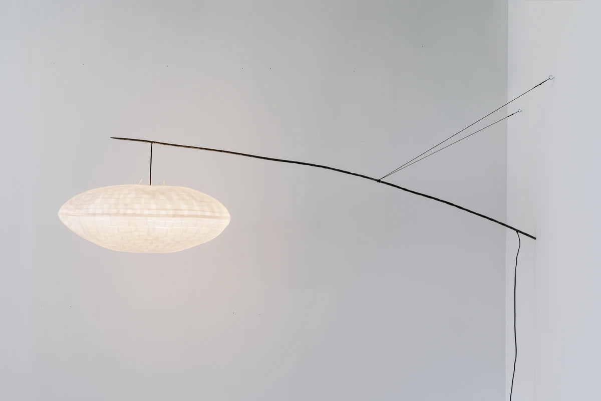 Cumulus perchée à une branche  Céline Wright
Photo © Florian Kleinefenn