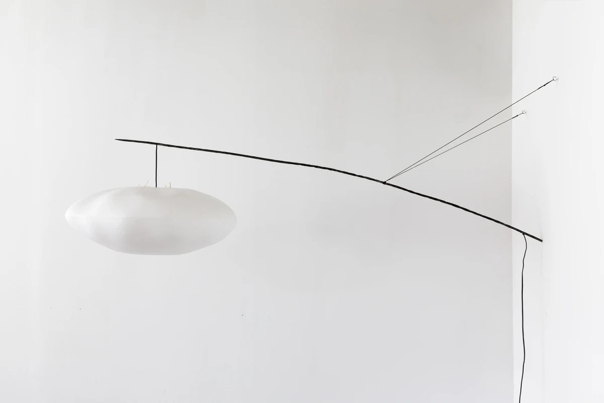 Cumulus perchée à une branche  Céline Wright
Photo © Florian Kleinefenn