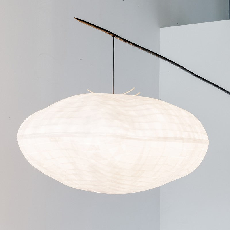 Cumulus perchée à une branche  Céline Wright
Photo © Florian Kleinefenn