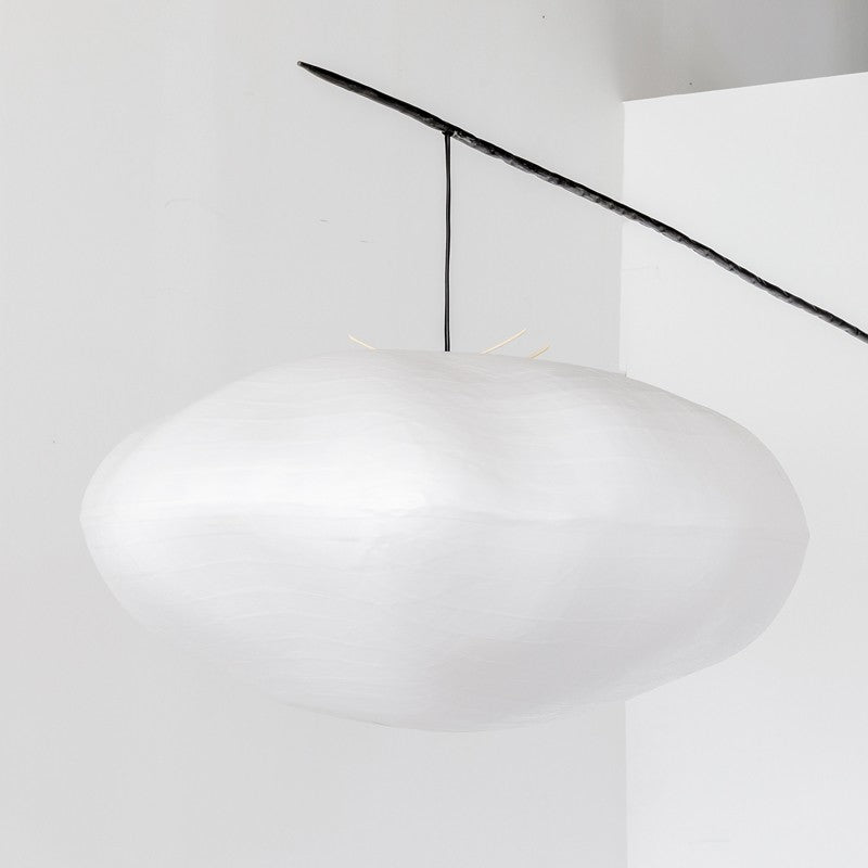 Cumulus perchée à une branche  Céline Wright
Photo © Florian Kleinefenn