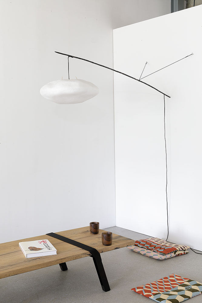 Giboulée perchée à une branche  Céline Wright
Photo © Florian Kleinefenn