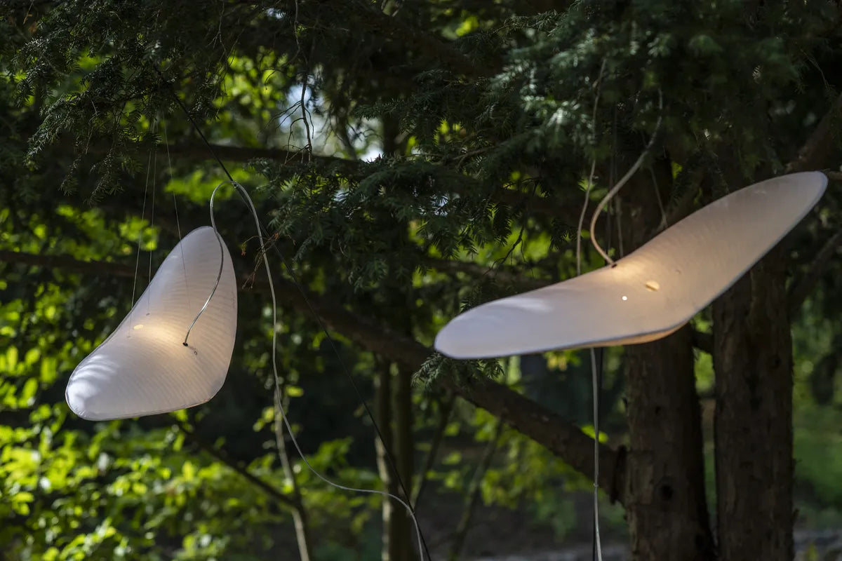 L'Oiseau perché Céline Wright
Photo © Anne Emmanuelle Thion