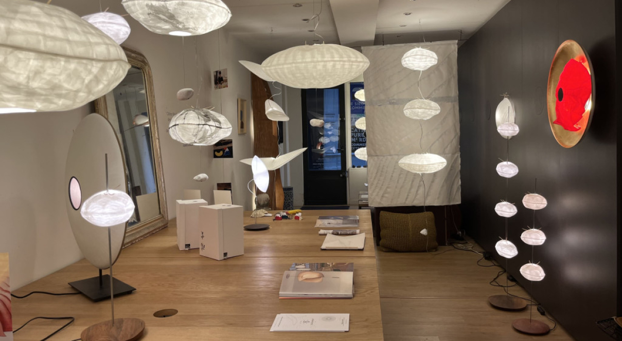 Entrez au showroom et repartez avec le luminaire de votre choix !